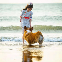 �Ұ�����ĵ���Ƭ