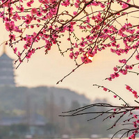 ���ݹ��������봺���ոգ����³���24�棡���������������Ҫ��