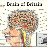 Ӣ����ѧһ������ҵı仯