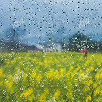 ˿ƷЩֵƼ˿ΪʲôԽԽܻӭ