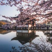 ��������������