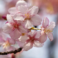 ̫�ճ���3���鷵�ص���ʱ�䶨�ˣ���������6������Ա�����й���