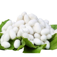 ˿ƷЩôܹ򵽺õĲ˿