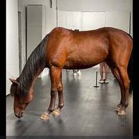 ³Ѹ�İְֲ��ˣ���Ҫ���ҵ�ҩ�����󰲻��ԭ����Ƕ��顣