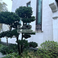 ����������ص�С����Ԫ��������ڲ�ԭ��������