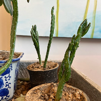 �������ÿ�춼��ô����ֹ֡������æµ�ֺ���ûɶ�ջ�