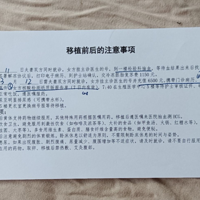 �Թ�һ�γɹ����ޣ��ҵĺ����ؼ�����������