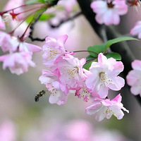 ������������Ǯ����Ա����Ǯ������ؽ���һ�κ�������������