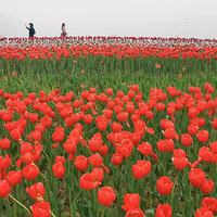 ����ѽ��ͷһ�ο���ô��Ƭ������