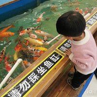 �����˲�֪�����¹㳡���ǵ��������ʥ����