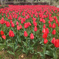 �����Ľ�����˽���ң��ܾ��������������