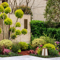 ����Ǯ��������ϲ����������ֵ����������ĺ�լ����Ƕ�һ�޶�