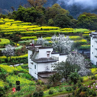 �����Ͽվ�������״������Ʈ�����Ѷ���һ������������....