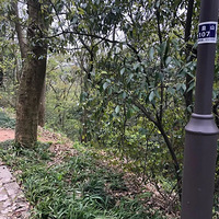 �ֵ����������ļ��ڣ��⼸��̤����·һ�����ܴ���