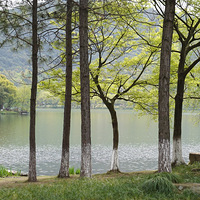 ϲ����������ӡ�