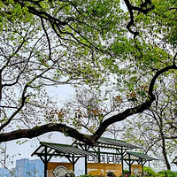 ����߲������г�������Υ��������ع����涨������������2����