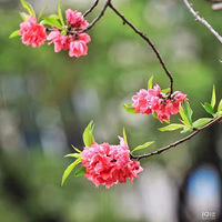 ����һ�������ڣ��ⴺ������������˼����˭������ʱ�ڣ�����׷Զ