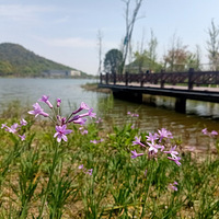 ͭ�����Ļ���