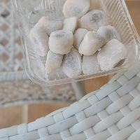 ���������ڣ�ϡ�