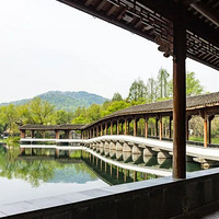 ������֯����ҽҩ����Ч�����¹ڣ��������