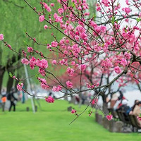 ���ݹ���һ�����������룬��С��¥�µ�һĻ����˲��о��İ���.