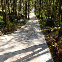 ���Ҹ�5�·��ܽ��ģ����и�С����������ϵ��