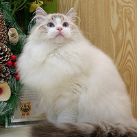 ɹɹ�Ҽ�С��~ ��ô������ô�ɰ���èèѽ������ �������Ǻ�[