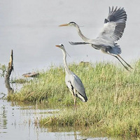 ���ڻ���˾��������Ϳ��ٲ��鹤����ͨ����������