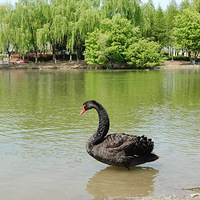 ��˵���齨����ͥ������ȥ���ΰ�