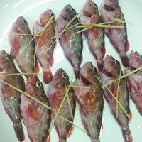 ����׼�����ˣ�����һ��Ĳ���