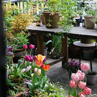 �Ŷ��ͻ���ԤԼ���ȡ��������ݹ��ﻹ���Լ�¶̨����200�����