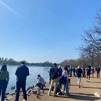 �������׶ء���ɿ�飬����Թ ������̸����