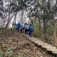 �������ߵ��ٰ�����ɽ����ĩ���ܴ���8��������ɽ��Ʒ·�ߣ�