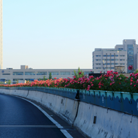 4����Ѯ�ɡ��߻�·�������꺼������70����߼��¼���25����