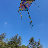 �о��罻����û�У�����Ȧ̫խ