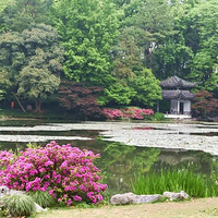 ֣��һ��Ӿ�ݷ����ֲ�̮����3������9�����ˣ��������