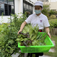 ������ѧ�����ȷ��� У԰�ﾹȻ������Щ��ζ