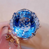 ��������ָ