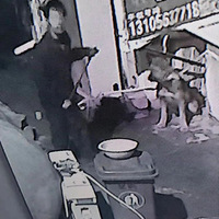 ��ҹ͵���������˷��ִ��������ۣ�С͵Ҫ����15��......