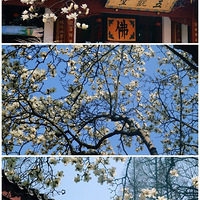 ϲ��������ص��ѧŮ�����廪�����������