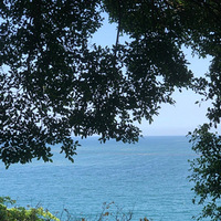 ��Υ������