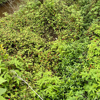 ��һ���ڽ���