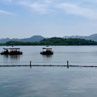 �����һ�����ݹ��Ӵ��ο�343.17���˴Σ���ȥ��ͬ�ڼ���6