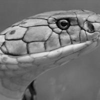 ��ҹ��������·���е��Ͼ�������һ���ߣ�