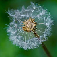 ������Ӧ��һ��ʳUP���������������������