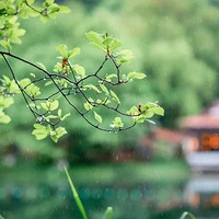 �����������Ϯ�����������겻ͣ�����е�����ֲ�����