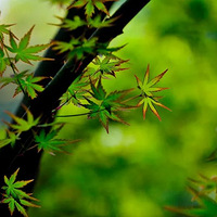 ���ݱϽ�ɽ�������3������ʧ�����������