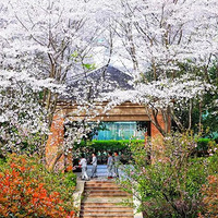 ֱ��̽У | ����һ�����������̳�ϵ����һ����ѧУ��