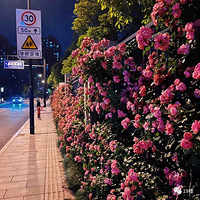 ���ǰ��׻�ǽ����һ����һ����������ð��򿨣�����һ�Ķ���Ƭ