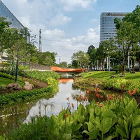 �ڿ��µĸ����£���̹ɳ������Խ��Խ����